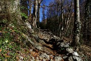 Anello Monte Zucco – Pizzo Cerro da S. Antonio Abbandonato l’11 febbraio 2016 - FOTOGALLERY